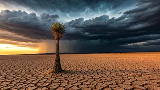 Jaisalmer Is The Monsoon Rain-Shadow Surprise