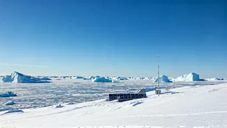 US's Interest in Greenland: A Geopolitical Perspective