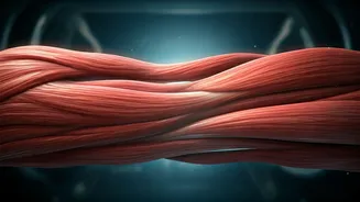 The Unraveling: What Happens to Your Muscles When You Hit Pause on Exercise