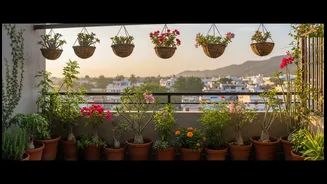Climate-Smart Plant Choices Can Keep A Balcony Green For Longer