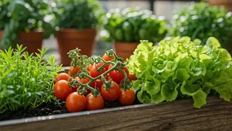 Lettuce And Cherry Tomatoes Are Taking Over Balconies