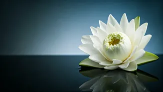 Vikas Khanna's TIME 100 Honor: A Culinary Star Remembers His Sister