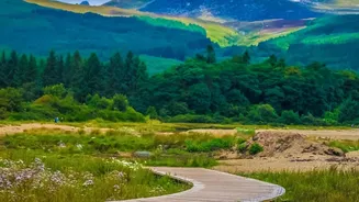 Why Sweden Right To Roam Makes Hiking These Scenic Trails A Dream Experience