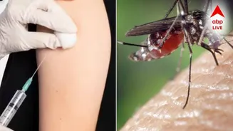 Dengue Vaccine : ভারতে প্রথমবার ডেঙ্গির ভ্যাকসিন, কারা পাবেন? কারা পাবেন না? কতটা নিরাপদ?