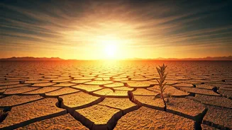 Jodhpur Weather Needs Respect Before Walking Tours
