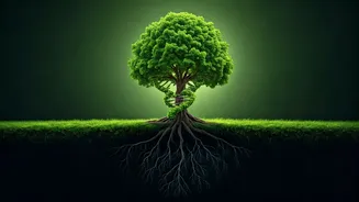 Genes, Lifestyle & Lifespan: What's the Real Deal?