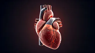 5 Habits Harming Your Heart (Beyond Diet & Exercise)