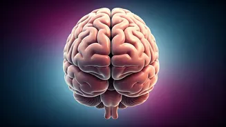 Are You B12 Deficient? Know The Signs.