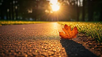 Why Morning Fitness Is Trending