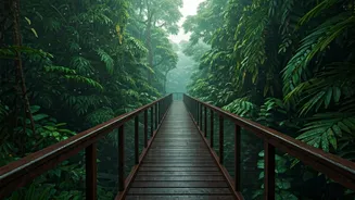Walk Above Rainforests This Monsoon In India