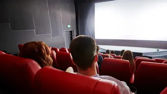 How Bollywood Movies Are Finding Different Audiences Across Cinemas And OTT