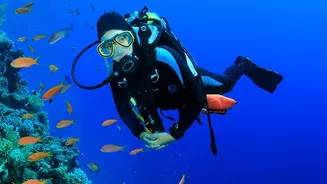 How underwater attractions are creating new reasons to explore India’s coastline