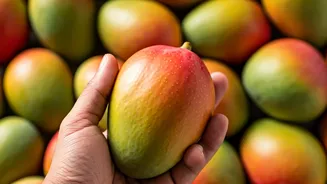 FSSAI's Alert: Spotting Artificially Ripened Fruits and Avoiding Health Hazards