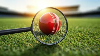 Journalism's Vital Role: Checking Power's Reach