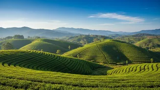 Why Quick Visa Approvals Are Driving Last Minute Travel To Tropical Sri Lanka