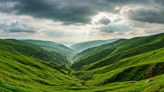 North India's Hills Turn Emerald This Monsoon