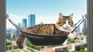 Install Secure Window Hammocks For Ultimate High-Rise Cat Living