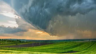 The August Sowing Window Makes Local Rainfall Part of August Seed Selection