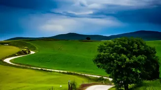 Monsoon Photography Trips: How To Find Dramatic Landscapes Across India