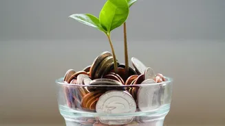 FD Laddering Strategy Splits Savings For Cash Flow And Investment Flexibility