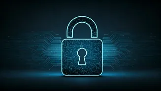 Shielding Your Online Journey: Understanding Website Security Verifications