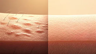 Related Stories banner