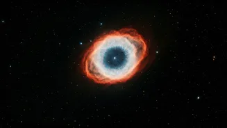 Astronomy Clubs Organize Midnight Camps To Spot Famous Ring Nebula