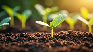 The Easy Gardening Secret Revealed