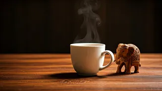 Beyond Stereotypes: A European Traveler's Deep Dive into Indian Hospitality