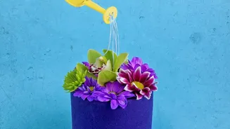Monsoon Plant Guide: How To Manage Water In Balcony Containers