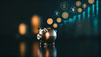 Automate Your Financial Freedom Using Daily Payment Micro Investments