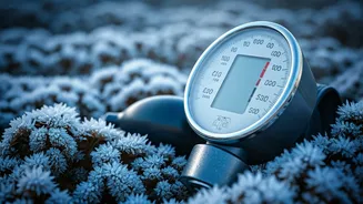 Winter Blood Pressure: 5 Reasons & Tips for Health