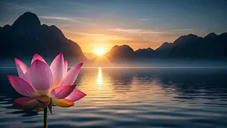 Unlock Your Day: 7 Powerful 5 AM Affirmations for a Peaceful Mind