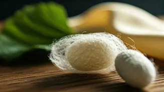 The Unseen Craftsmanship: How Silk's True Story Unfolds from Caterpillar to Drape