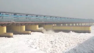 Has Yamuna river’s water quality deteriorated in recent months? This is what the DPCC data says