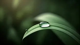 Rainy Weather Calls For Smarter Skin Care