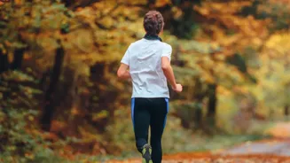 Nordic Walking's Fitness Revival Puts Upper-Body Movement In Focus