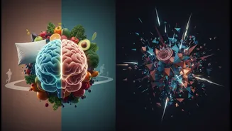 A Sustainable Routine Matters More Than Chasing Every New Nootropic