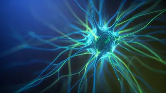 Rewiring Your Brain: Weight Loss Habits