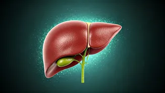 Reversing Fatty Liver: Expert Diet and Lifestyle Hacks for a Healthier Liver