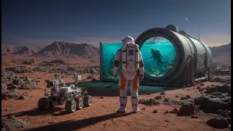 Astronaut Life On Earth Is Real Research