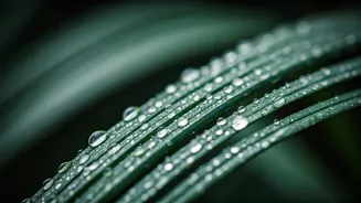 Monsoon Moisture Can Still Leave Skin Unhealthy