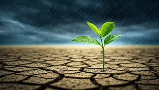 Mumbai Rains Bring Instant Relief Amid Historic Global Dryness