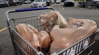 Proper Disposal of Plastic Bags: Alternatives to Recycling