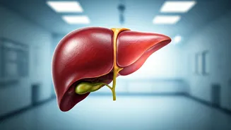 MASLD in India: A Growing Health Concern