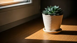Embrace Your Mornings: Cultivating Peace and Positivity with 5 AM Affirmations