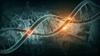 Unraveling Outbreaks: How DNA Sequencing Rewrites History, But Doesn't Tell the Whole Story