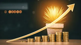 Cancer Horoscope: February 24, 2026 - Financial Gains & Career Momentum