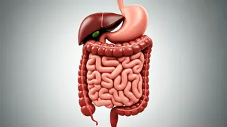 Vajrasana: The Simple Pose with Remarkable Benefits