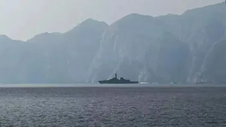 UN Pauses Hormuz Evacuation Plan After Cargo Ship Struck Near Oman